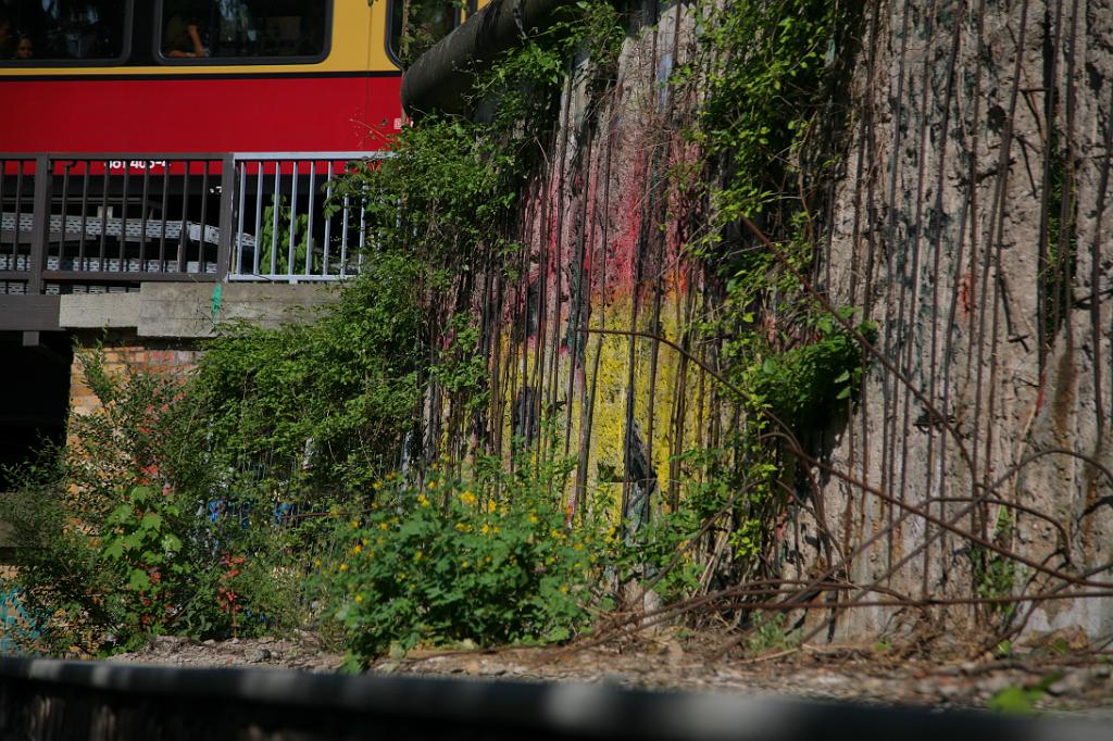 Friedhof Liesenstraße 2_ heute.jpg